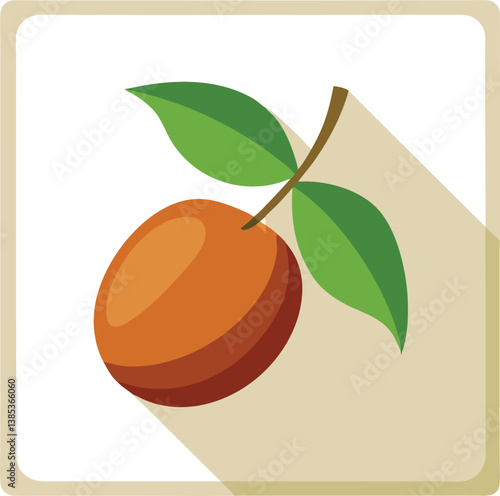 A high-quality vector of a Sapodilla (Chiku) with a soft brown texture, set against a white background 