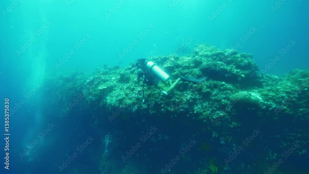Diver navigates through landscape of natural reefs formations Diver navigates through landscape of natural reefs formations