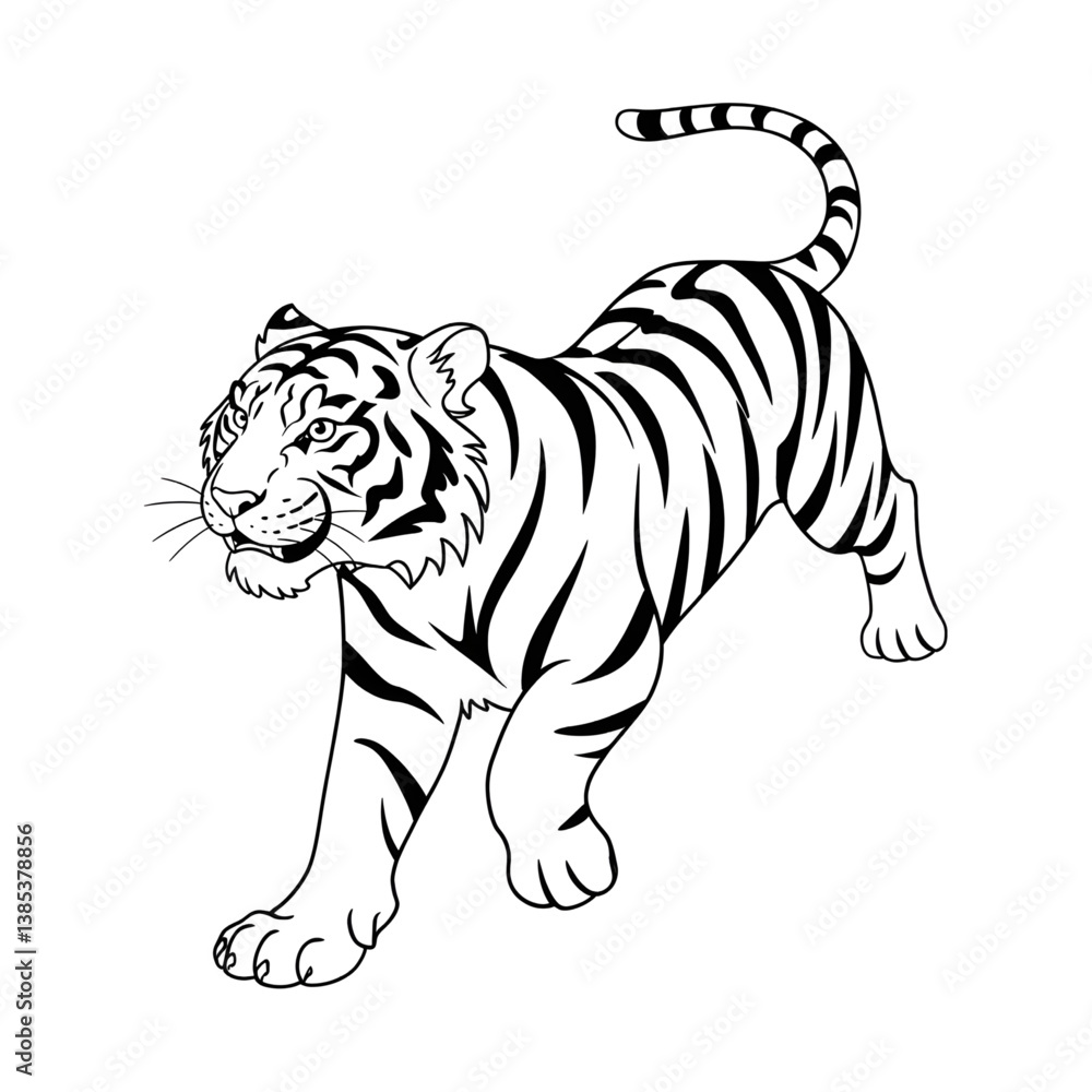 Fototapeta premium tiger on white this is big cat also 
