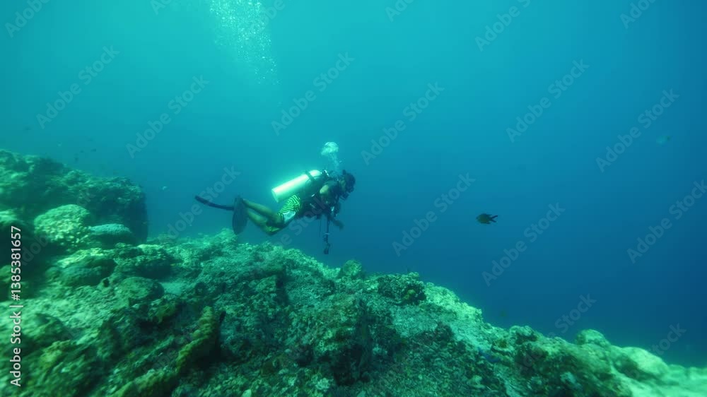 Professional diver in special suit explores bottom of reef Professional diver in special suit explores bottom of reef