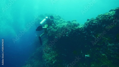 Wallpaper Mural Diver moves through diverse underwater realm beneath waves Torontodigital.ca