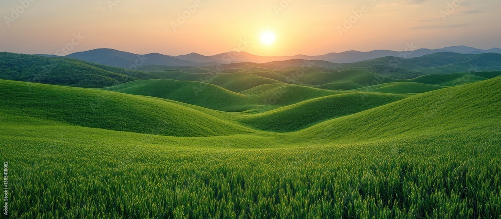 Sunset over rolling green hills and wheat field. Sunset over rolling green hills and wheat field.