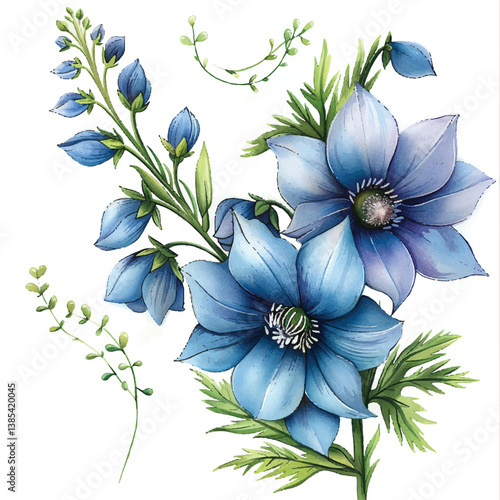 Watercolor Delphinium white background