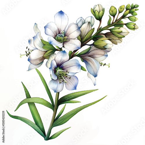 Watercolor Delphinium white background