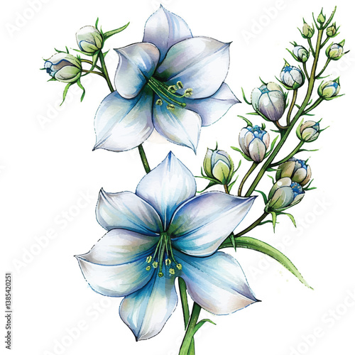 Watercolor Delphinium white background