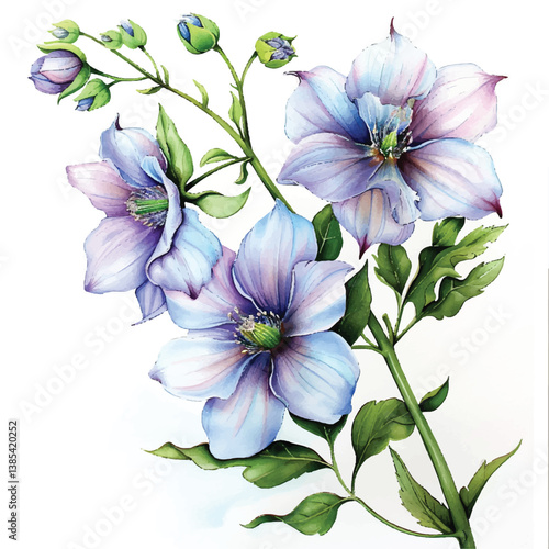 Watercolor Delphinium white background