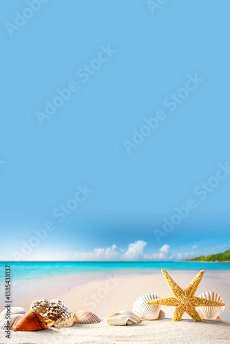 Muscheln, Seestern am Strand