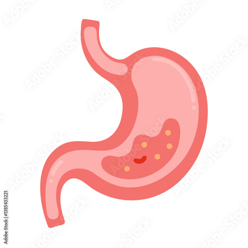 A stomach