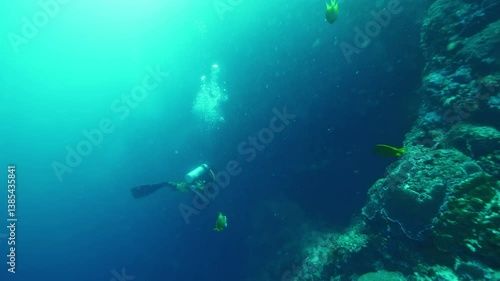 Wallpaper Mural Diver dives deeper and further into unexplored depths of ocean Torontodigital.ca