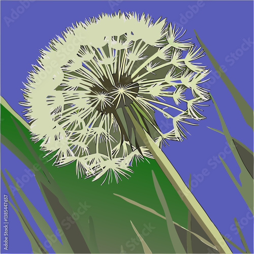 Dandelion flower close-up with blue background  