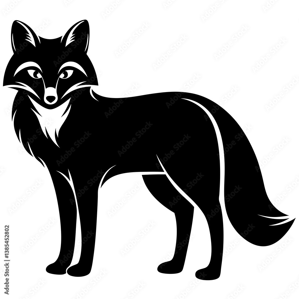 fox with white background fox with white background