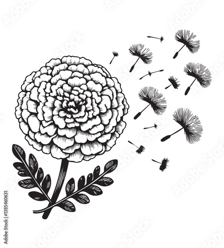 Coloring book marigold flower with leaves, depicted as its seeds are being blown away by the wind