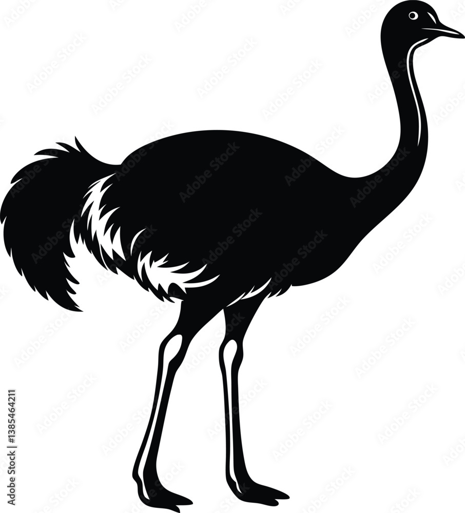 Obraz premium ostrich silhouette vector.