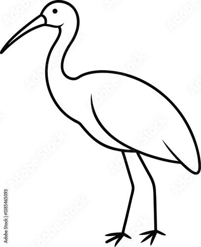 hadada ibis vector art illustration