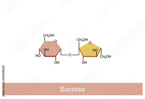 Sucrose molecule. Disaccharides, glucose and Fructose molecules. Vector Illustration.