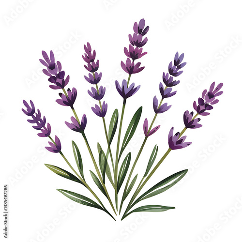 bunch of lavender flowers