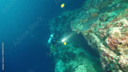 Diver swims with fishes inside deep and beautiful ocean