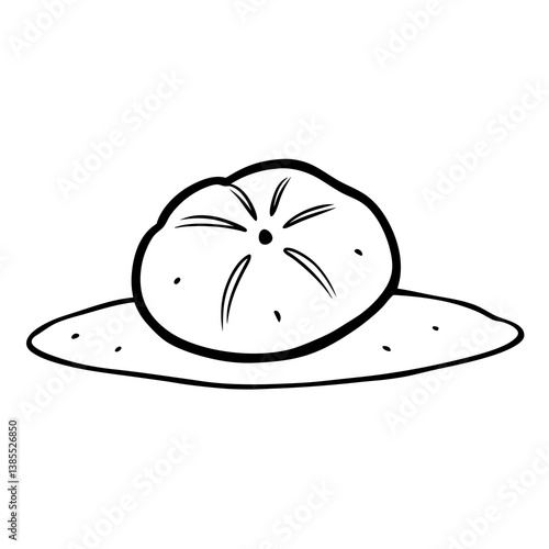 vector illustration of A sand dollar 