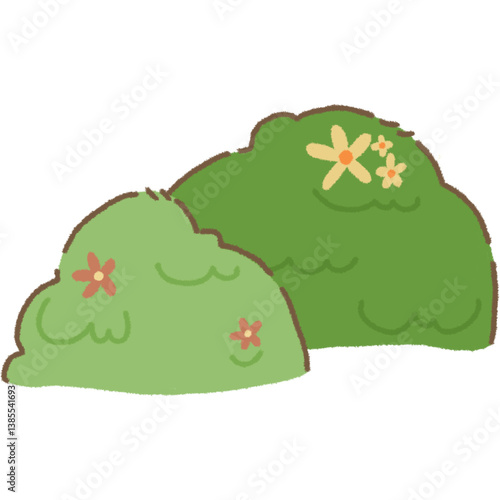 bush