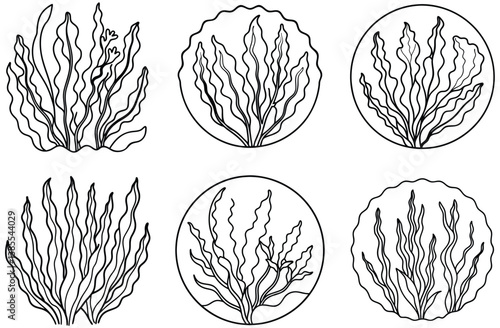 Kelp Silhouettes Seaweed, Black Outline, Ocean Plants, Underwater Flora, Sea Greens