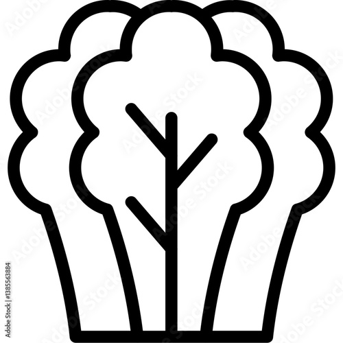 Spinach