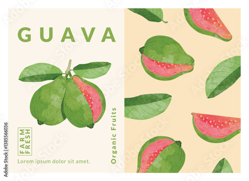 guava packaging design templates, watercolour style vector illustration.