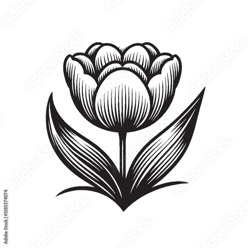 Vibrant Tulip Bloom