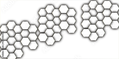 White Hexagonal Background. Luxury White Pattern.  vector illustration geometry science and technology cover web white honeycomb . Hexagonal grid tile and mosaic structure mess cell.