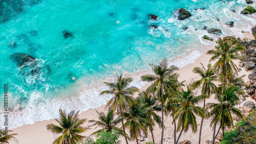 Fototapeta Naklejka Na Ścianę i Meble -  Aerial top view of a summer tropical paradise with palm trees, blue waves, and sunny white beach. summer background and summer holiday concept.