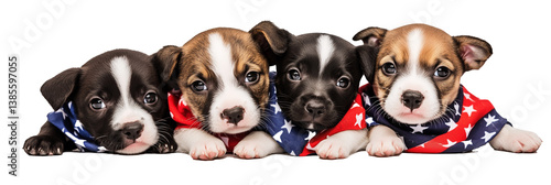 Four Mixed Puppy Dogs in Patriotic Kerchiefs on White Studio Background, American Summer Holiday Puppies
