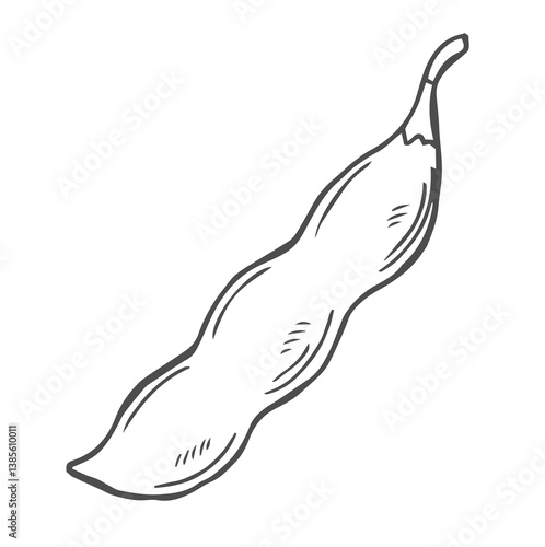 Soybean sketch vector illustration. Soya been pod in doodle style