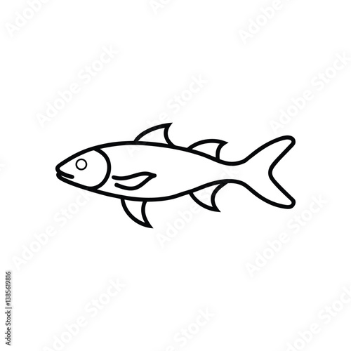 tarwhine fish line art vector illustration