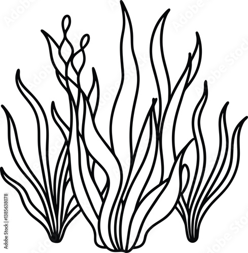 Seaweed Silhouette Outline Drawing of Aquatic Plants, Black and White Marine Flora Design