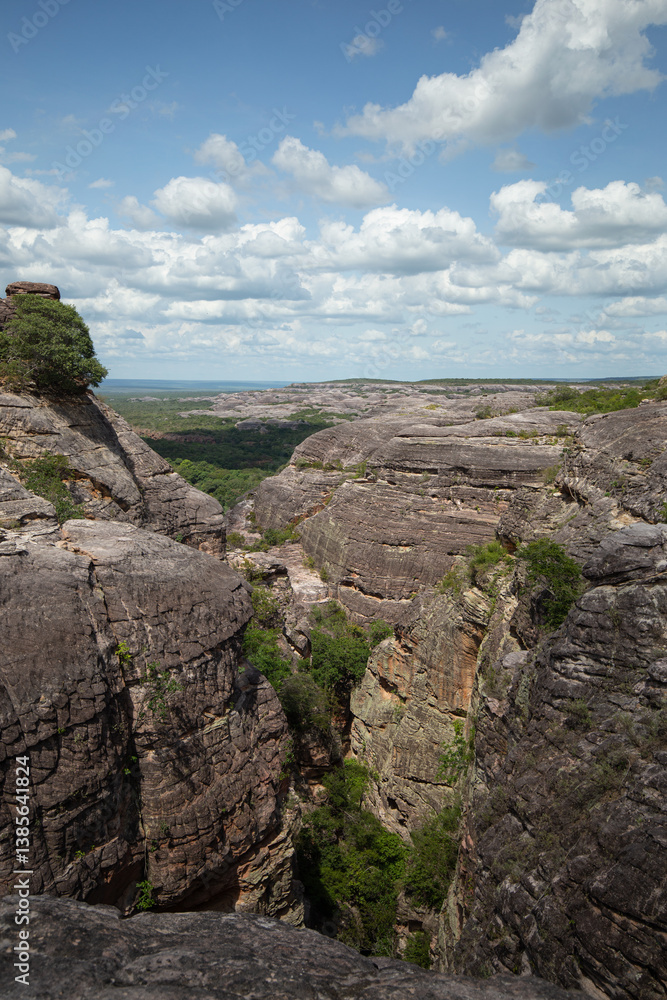 Fototapeta premium view from the top of a mountain