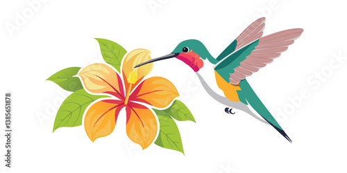 High Quality hummingbird with Vector Design Print Ready EPS & JPG Files for POD & Stock Use