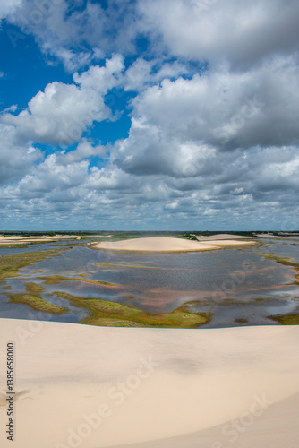 Obraz na płótnie Barreirinhas, Maranhao State National Park, Brazil: view of Lencois Maranhenses, white and rolling sand dunes with natural pools of fresh water, desert landscape, green and reflections w salonie