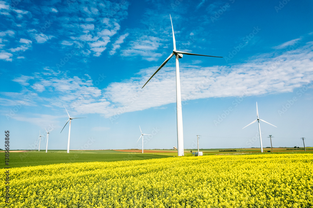 Wind farm and rapeseed field under a partly cloudy sky Wind farm and rapeseed field under a partly cloudy sky