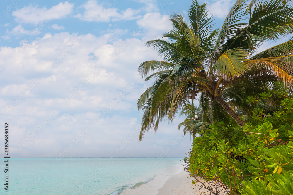 Fototapeta premium Indian Ocean coast in the Maldives