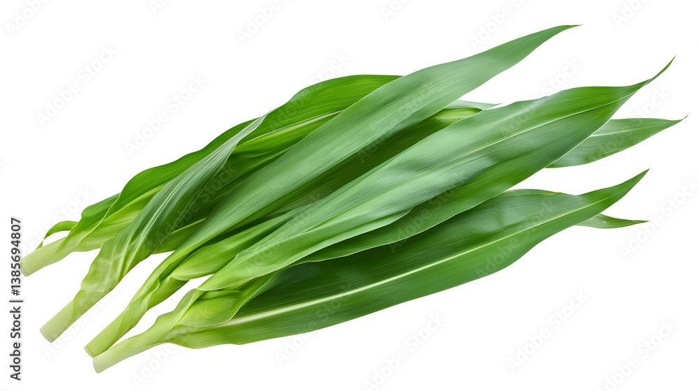 Vibrant Green Leaf Corn Field Isolated on White Background Vibrant Green Leaf Corn Field Isolated on White Background