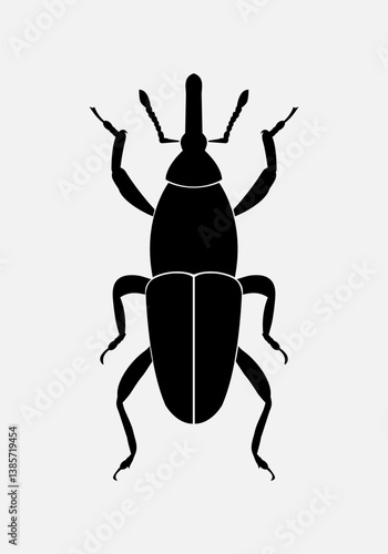 Weevil. Vector illustration of insect pests on white background. Isolated black icon.