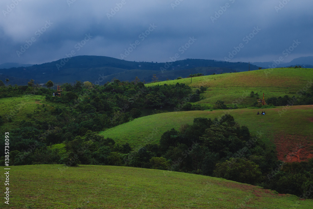 Fototapeta premium Vagamon Meadows in Kerala, India.