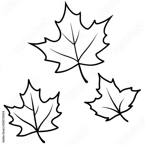 Three Maple Leaves Vector Art in Varying Sizes