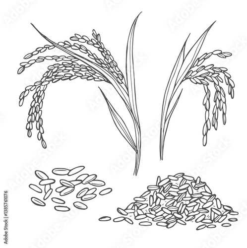 Doodle rice ears cereals set. Hand drawn rice sketches