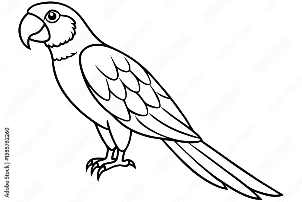 Abstract Macaw Line Art Vector Abstract Macaw Line Art Vector