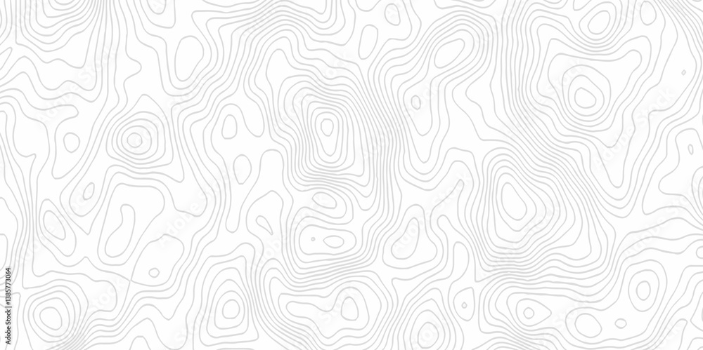 White topography topology vector white background fresh contour map texture. white seamless pattern Abstract background with a wave Topography and geography map grid abstract backdrop. White topography topology vector white background fresh contour map texture. white seamless pattern Abstract background with a wave Topography and geography map grid abstract backdrop.