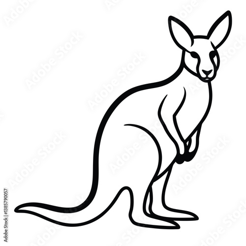 kangaroo vector illustration