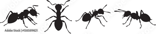 Simple black silhouettes of four ants in various positions against a white background.