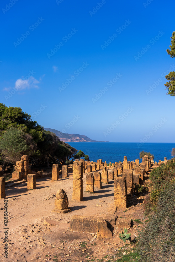 Naklejka premium Tipasa, Roman ruins in Algeria coast, a world heritage site