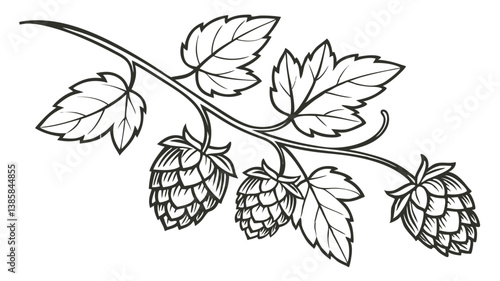 Hand-Drawn Hops Vector Art Set – Doodle Hop Cones & Leaves Clipart for Beer & Brewing Designs

