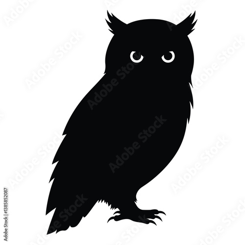 black and white owl